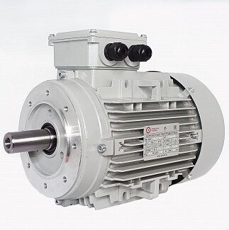 Электродвигатели АИС132SA-2 5.5kW F IP55 V380/660/50