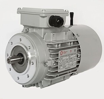 Электродвигатели АИС71C-6-Е 0.37kW F IP55 V220/380/50